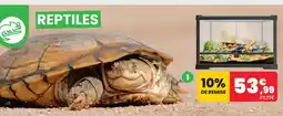 Animalis Repto terrarium universel terra earth 51x25x30cm offre