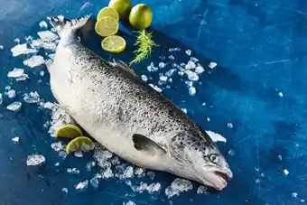Auchan Sans marque saumon atlantique entier vidé offre