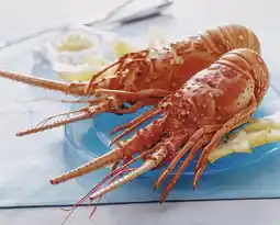 Auchan Sans marque langouste entière cuite réfrigérée offre