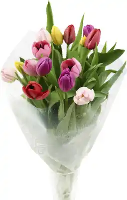 Auchan Sans marque bouquet 14 tulipes offre