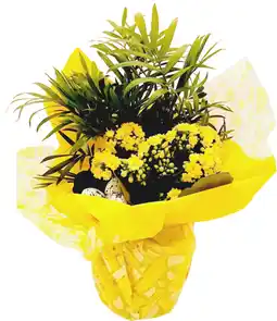 Auchan Sans marque composition de plantes pascale offre