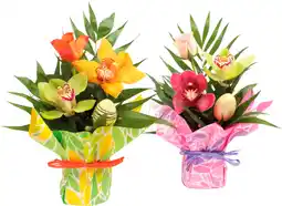 Auchan Supermarché Sans marque composition daisy offre