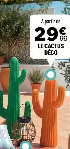 Centrakor Le cactus déco offre