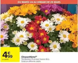 Carrefour Market Mars - chrysanthème offre