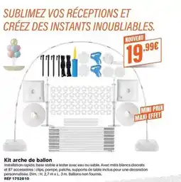 Shopix Dim - kit arche de ballon offre