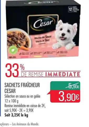 Match Sachets fraîcheur cesar offre