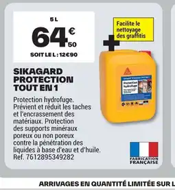 Brico Dépôt Sikagard protection tout en 1 offre