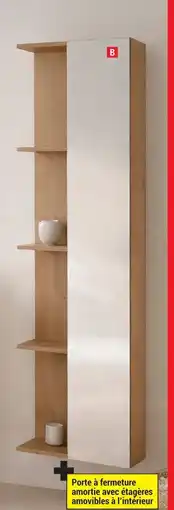 Brico Dépôt Colonne a suspendre tamisa offre