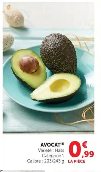 Bi1 Avocat offre