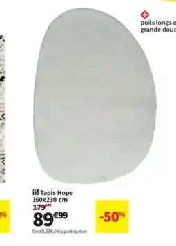 Conforama Tapis Hope offre