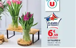 Maximarché 15 tulipes u offre