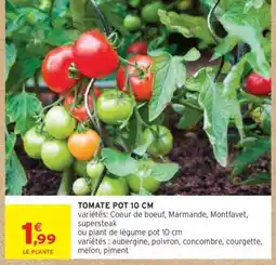 Intermarché TOMATE POT 10 CM offre