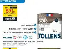 Castorama Tollens peinture extérieure bois blanc ral 9016 satin offre