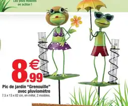 Bazarland Pic de jardin grenouille avec pluviomètre offre