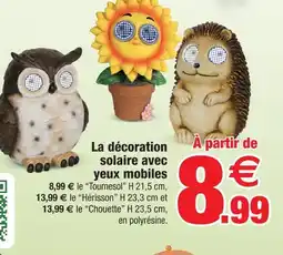 Bazarland Décoration solaire avec yeux mobiles offre