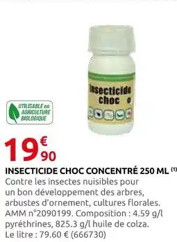 Rural Master Insecticide choc concentré offre