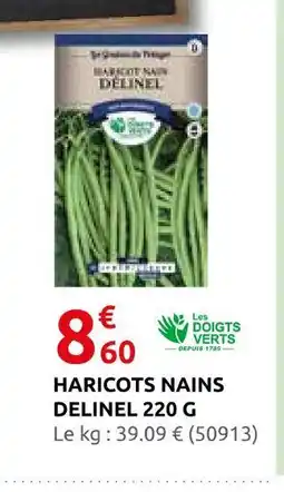 Rural Master Haricots nains delinel 220 g offre