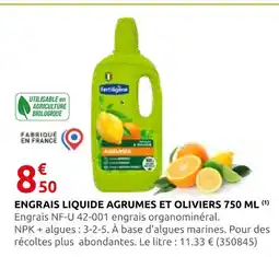 Rural Master Fertiligène engrais liquide agrumes et oliviers offre