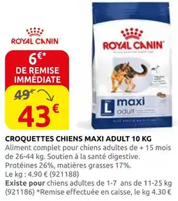 Rural Master Royal canin croquettes chiens maxi adult offre