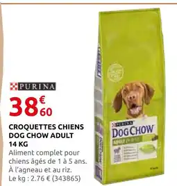 Rural Master Purina croquettes chiens dog chow adult 14 kg offre