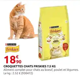 Rural Master Croquettes chats friskies offre