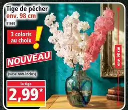 Norma Tige de pêcher rose offre