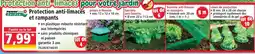 Norma Power garden pièges à limaces offre