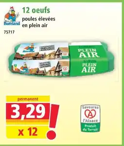 Norma 12 œufs poules élevées en plein air offre