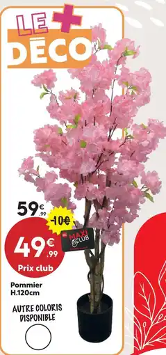 Maxi Bazar Pommier h.120cm offre