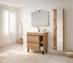 Brico Dépôt Ensemble meuble l.80cm tamisa offre