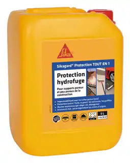 Brico Dépôt Protection tout en un 5 l offre