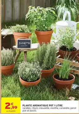 Intermarché Express Persil - plante aromatique pot 1 litre offre