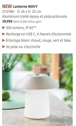 Maxi Bazar New lanterne movy offre