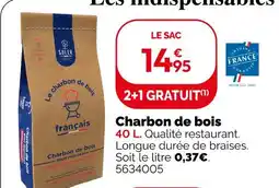 Weldom Soler charbon de bois offre