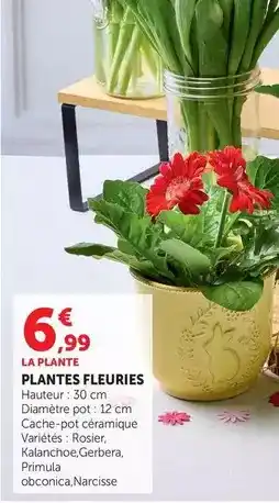 Hyper U Plantes fleuries offre