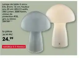 Möbel Martin Lampe de table à accu offre