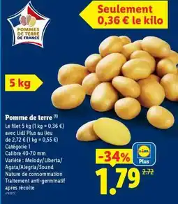 Lidl POMME DE TERRE offre