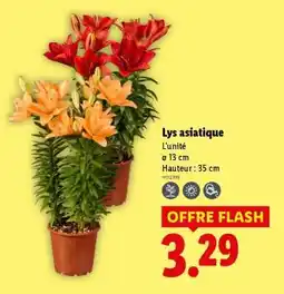 Lidl Lys asiatique offre