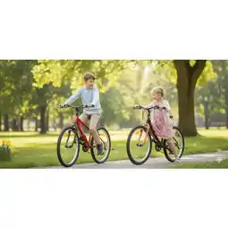 Carrefour Toplife vtt 24 pouces offre