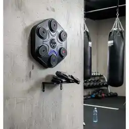 Carrefour Machine de boxe musicale offre