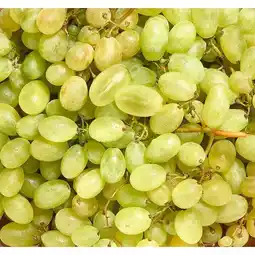 Carrefour Le marche raisin blanc sans pépins carrefour le marché offre