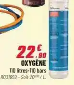 Brico Pro 110 litres-110 bars offre