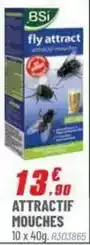 Brico Pro Attractif mouches offre