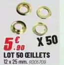 Brico Pro Lot 50 ceillets offre