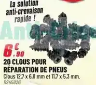 Brico Pro 20 clous pour réparation de pneus offre