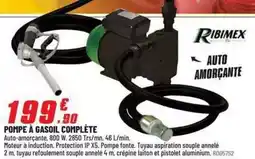 Brico Pro Ribimex - pompe a gasoil complète offre