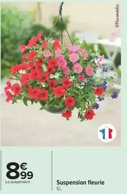 Carrefour Suspension fleurie offre