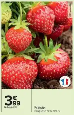 Carrefour Fraisier offre