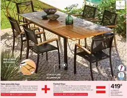 Carrefour Hyba - tableta extensible gryq offre