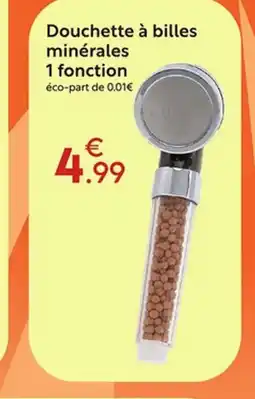 Maxi Bazar Douchette à billes minérales 1 fonction offre